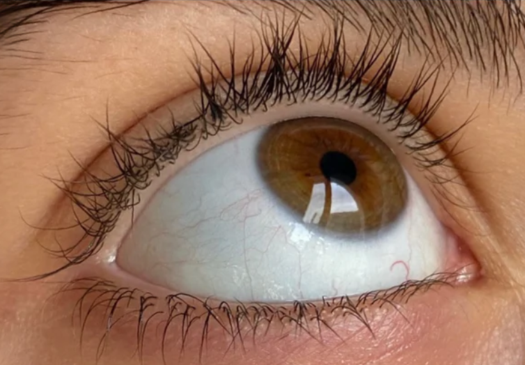 Lash Root Activator - Liaison Growth