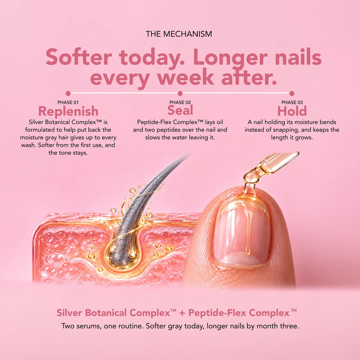 Hair & Nails Renewal Kit (Standard)