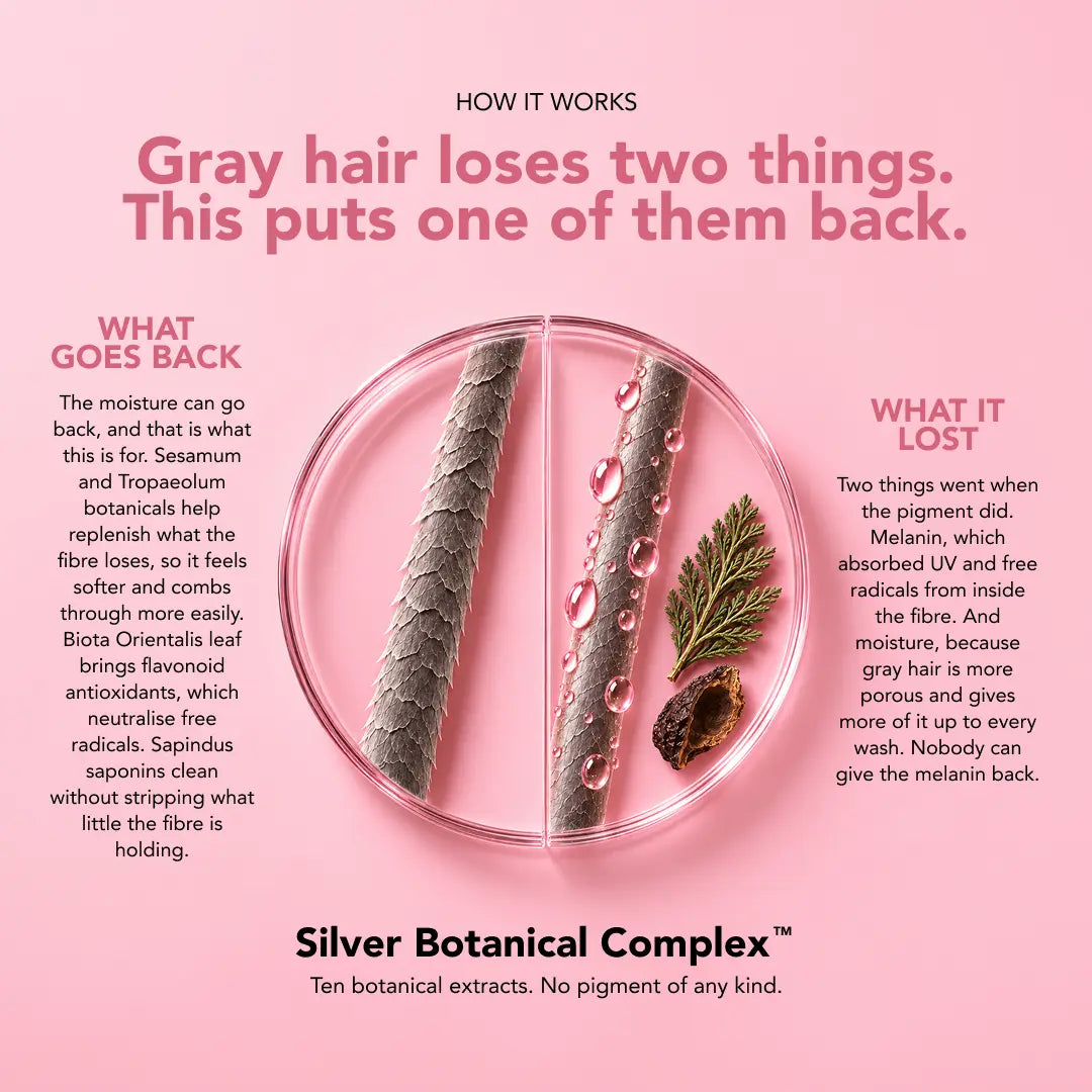 Gray Repair Hair Serum (Standard)