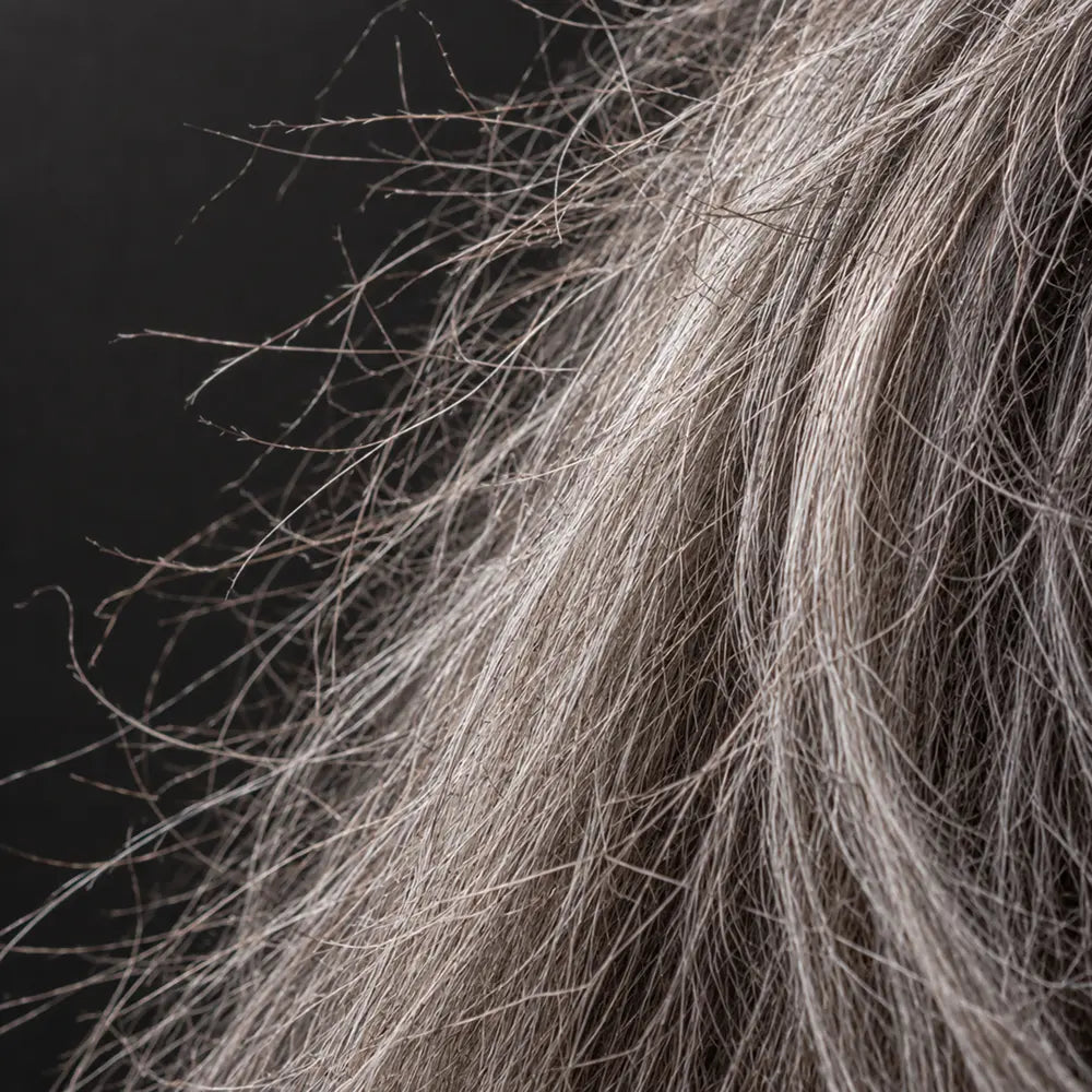 Macro of dry grey hair against a dark ground, raked light, shot so the individual strands read as separate and slightly wiry rather than as a smooth sheet. Not a distressed or damaged-hair stock shot, and nothing that looks like a horror story. This is ordinary untreated grey at close range, which most women have never actually seen photographed honestly.