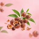 Sapindus Mukorossi Peel Extract