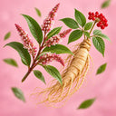 Polygonum and Ginseng